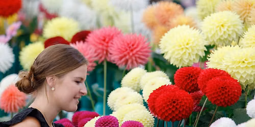 Summer Bulb Weekend
