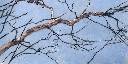 Member Preview: Carl Oltvedt