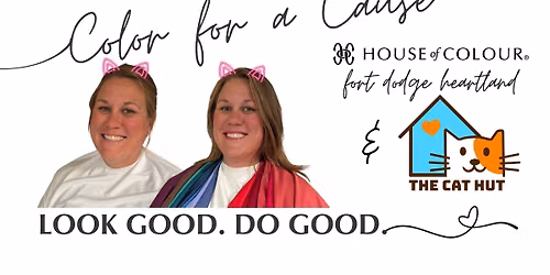 Color for a Cause: Color Analysis Benefiting The Cat Hut