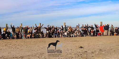 Nieuwjaarswandeling 2026 op het strand