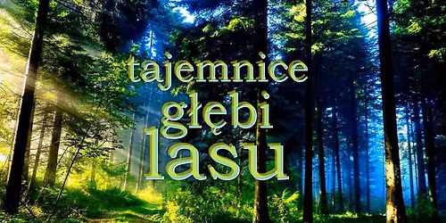 Tajemnice g\u0142\u0119bi lasu. Edukacyjna k\u0105piel le\u015bna w Czarnieckiej G\u00f3rze.