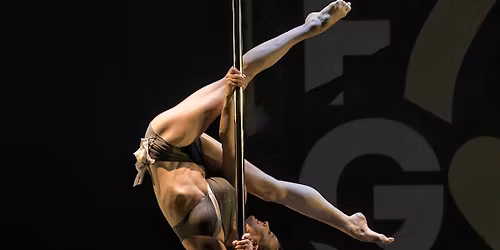 4th Annual Pole for Gold