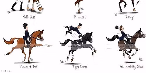 Christmas fun dressage competition. Open to everyone.