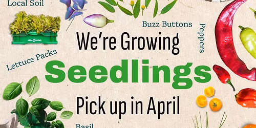 Seedling Pick Up Week