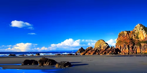 \u09ab\u09cd\u09af\u09be\u09ae\u09bf\u09b2\u09bf \u099f\u09cd\u09af\u09c1\u09b0