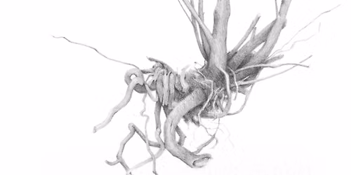 Artist Demo with Andrew Dailey - Metamorphosis