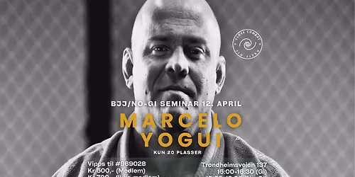Marcelo Yogui Seminar