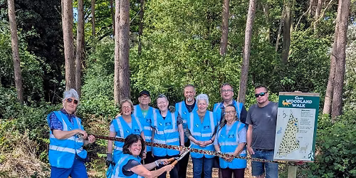 St Faiths Sunflowers Volunteer Day