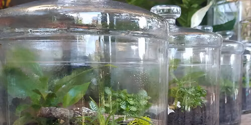 Terrarium Tea Party