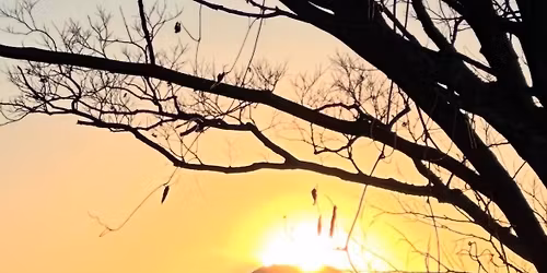 \u3010\u7b2c123\u5f3e\u3011\u3072\u308d\u306d\u3048\u3068\u3086\u304b\u3044\u306a\u4ef2\u9593\u305f\u3061\u306e\u30a6\u30a9\u30fc\u30ad\u30f3\u30b0\u5927\u4f1a@\u9ad8\u5c3e\u5c71\u5c71\u9802\u304b\u3089\u306e\u30c0\u30a4\u30e4\u30e2\u30f3\u30c9\u5bcc\u58eb\u9451\u8cde