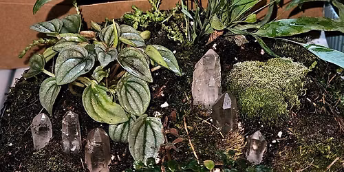 Moss & Crystal Planter 10\/11