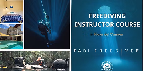 Freediving Instructor Course - Sept — Calle 10, Ave 110 y 115, 77712 Playa del Carmen, Mexico