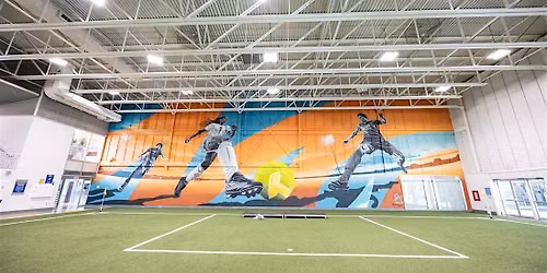 Mural Tour and Artist Talks - Where the Game Grows