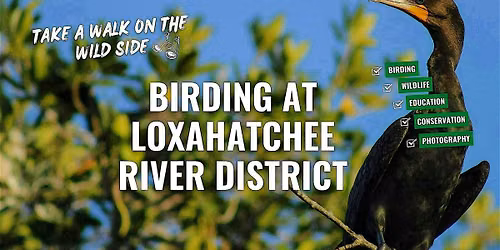 Birding at the Loxahatchee River District with the River Center