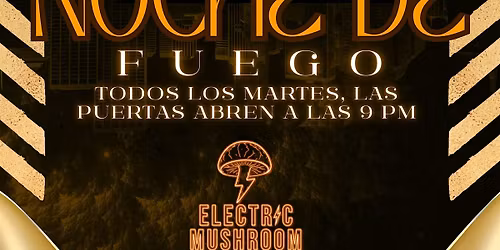 NOCHE DE FUEGO AT ELECTRIC MUSHROOM