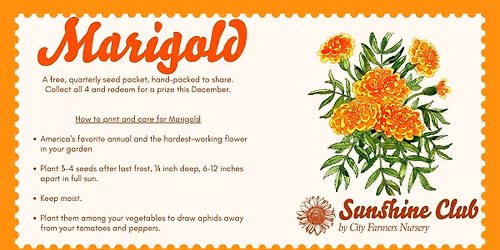 Free Sunshine Club Seeds | Marigolds (Apr 1 through Jun 28)