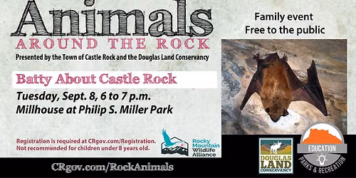 Animals Around the Rock: Batty About Castle Rock