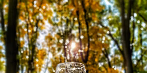 Fall Favorites: Wines for Autumn