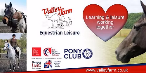 Pony Club C Stable management training