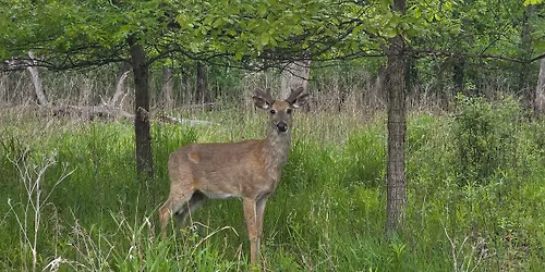 The Lovely Rut and TBA