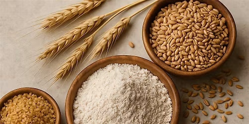 Milled to Perfection: Sourdough for Beginners