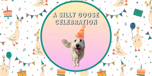 A Silly Goose Celebration