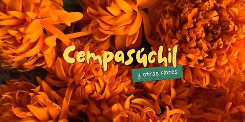 Cempas\u00fachil y otras flores -Day of the Dead Paper Flower Workshop