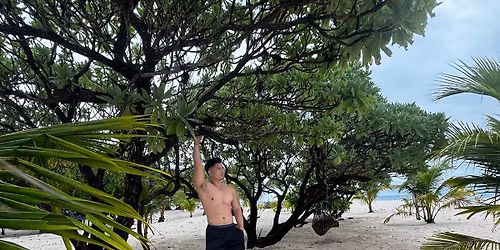 Men\u2019s physique champion