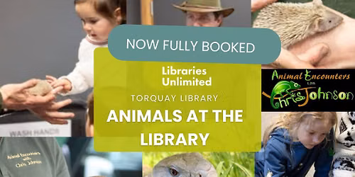 Animals at the library 