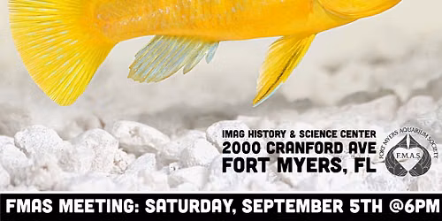 FMAS September Meeting: Malawi Cichlids for Rookies
