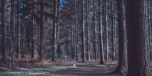 Shouldham Cross Country - November