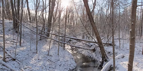 Winter Solstice Hike at Meadowbrook