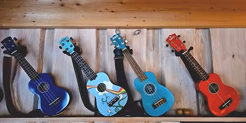 Vestfold Ukuleleklubb VUK konsert p\u00e5 Hogsnes helsehus