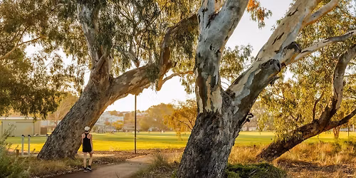 Eucalypts of Boorloo with Malcolm French