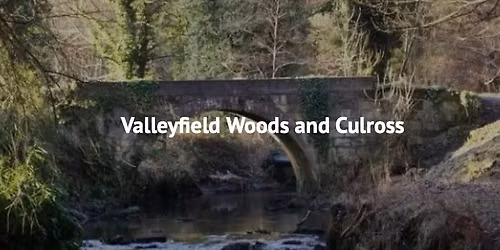 Gimmie Wellbeing - \u00a3FREE Valleyfield Woods walk
