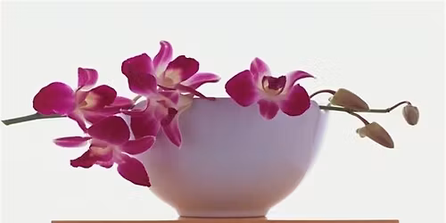 Conejo Orchid Society Show and Sale Fundraiser - May 29, 30