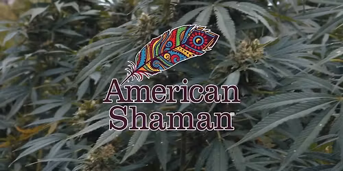 Get Baked Sip n Shop with American Shaman and Baked with Lex!