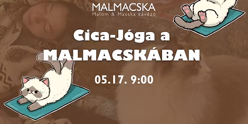Cica-J\u00f3ga a Malmacsk\u00e1ban\ud83e\uddd8\ud83c\udffc\u200d\u2640\ufe0f\ud83d\udc08