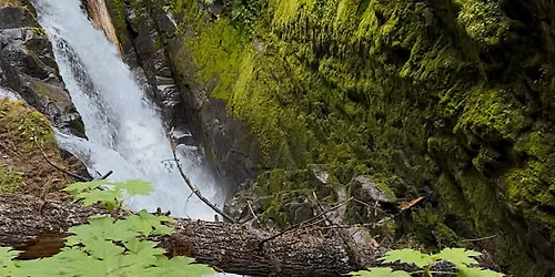 Sol Duc Falls Hike and Hot Spring Soak