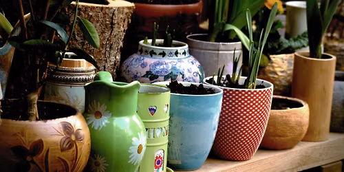 Atelier Pots & P\u00e9tales \u2013 D\u00e9core ton pot de fleurs !