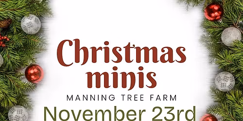 Christmas Mini Sessions 