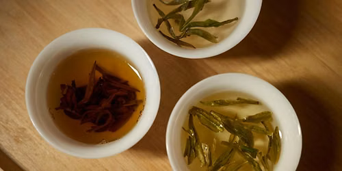 Teahouse Tea Tasting - Featuring White Tea First Session