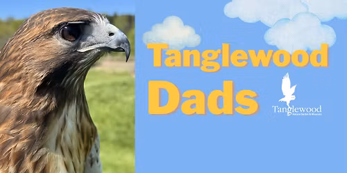 Tanglewood Dads