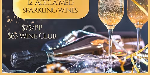 Sparkling Soir\u00e9e-A Holiday Affair