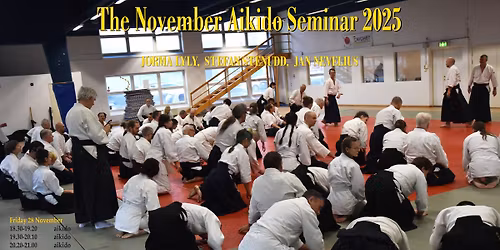 November Aikido Seminar 2025 in Malm\u00f6, Sweden