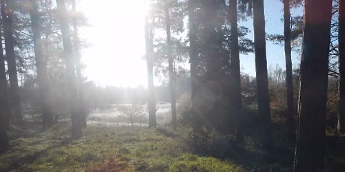 West Stow\/Forest Lodge Circuit Walk