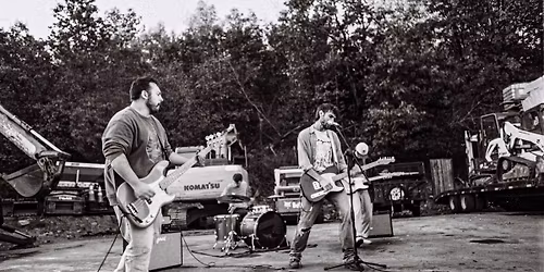 Flycatcher at The Camel