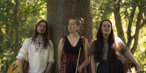 Folkbal Wilhelmina - Vlier (NL)