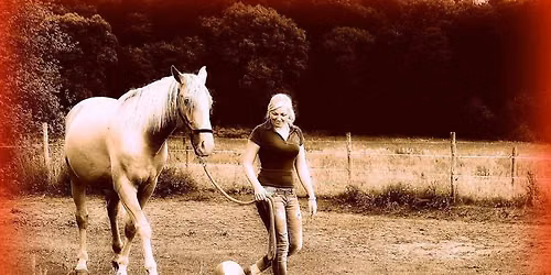 warsztaty freemindhorse - coaching w asy\u015bcie koni