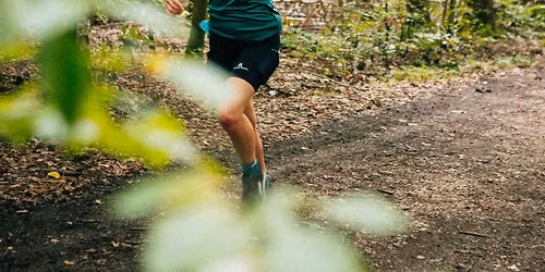 50. Holzlandlauf 2026